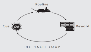 the_habit_loop